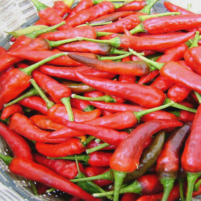 安徽辣椒酱农家5斤蒜蓉开胃超辣特辣辣酱香辣酱拌面拌饭手工自制