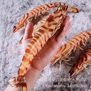 九节虾鲜活速冻超大斑节虾刺身新鲜竹节虾生呛高端海鲜餐饮生鲜