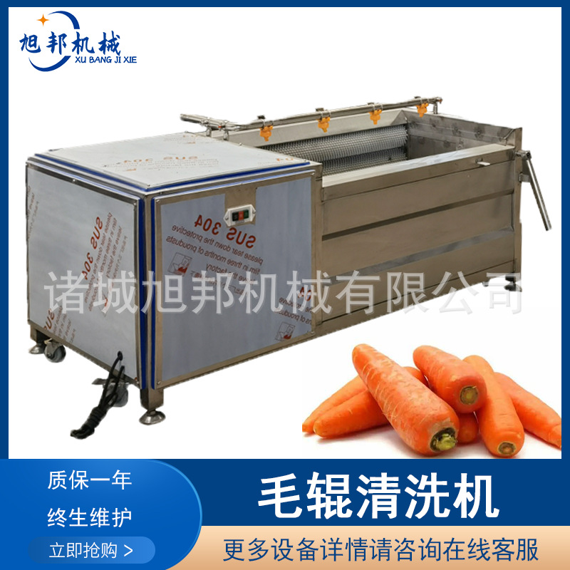 毛辊清洗机503.png