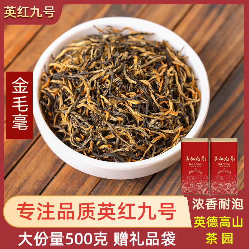 高山老树英红九号浓香型罐装金毛豪英德红茶春茶批发新茶1959