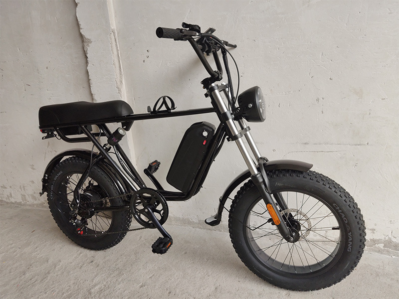 ftn锂电池越野电动自行车助力代步20寸山地车沙滩摩托车电瓶车