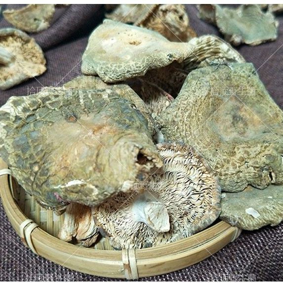 青头菌干货云南特产野生菌干菌子食材青面菇菌类特产蘑菇煲汤材料