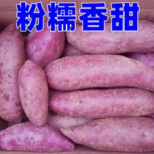 【新鲜紫薯】沙地番薯紫心蜜薯现挖红薯紫罗兰地瓜蔬菜批发5/10斤