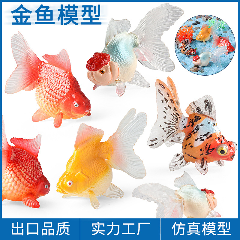 儿童仿真实心鹤顶红金鱼玩具动物模型锦鲤鱼观赏鱼淡水鱼认知礼物