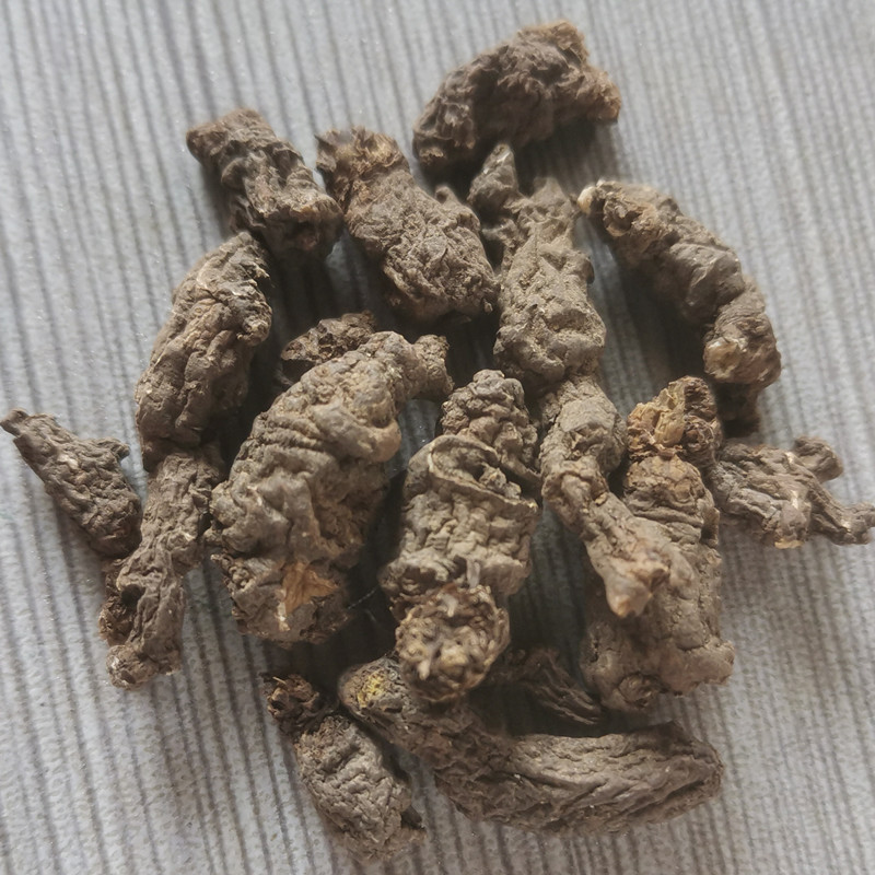 批发中药材天葵子别名紫背天葵子天葵根散血珠实物拍照