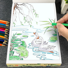 中国画白描临摹画册 白描本入门篇描摹本儿童 山水动物人物禽鸟花