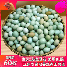 鸡蛋新鲜绿壳山鸡蛋32-60枚一箱初生乌鸡蛋土鸡蛋农家散养整箱批