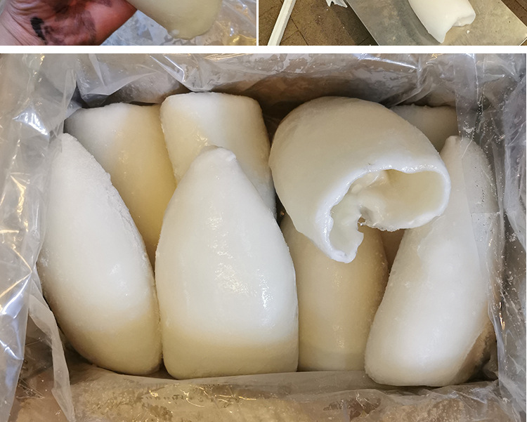 批发冷冻墨鱼筒 单冻墨鱼肉 乌鱼肉 8个装10kg/箱