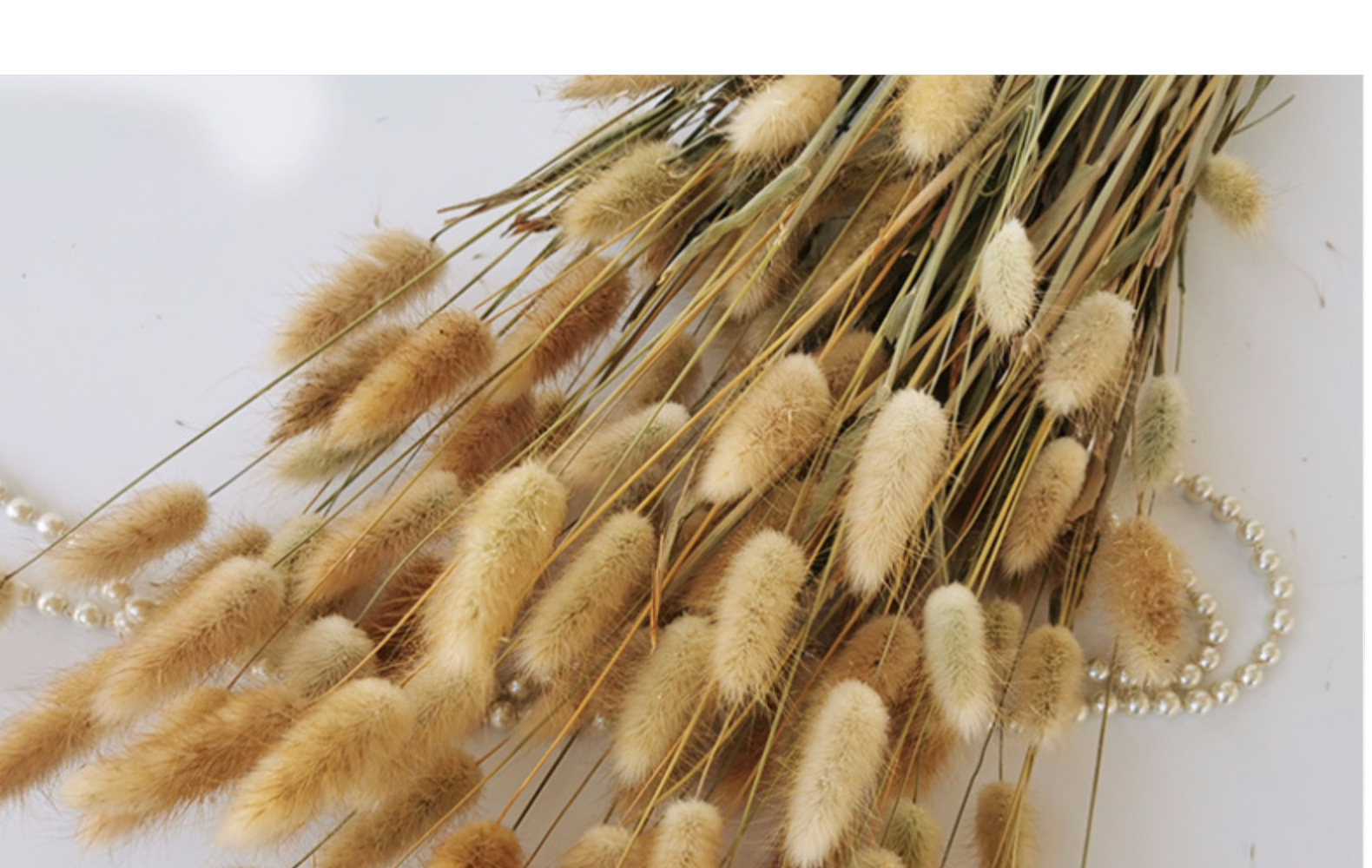 云南干花兔尾草染色狗尾巴草一束30支家居婚庆摆件装饰花