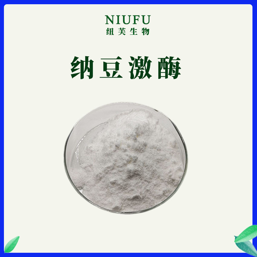 纳豆激酶20000u/g纳豆提取物食品级原料100g/袋 纳豆粉纳豆激酶粉