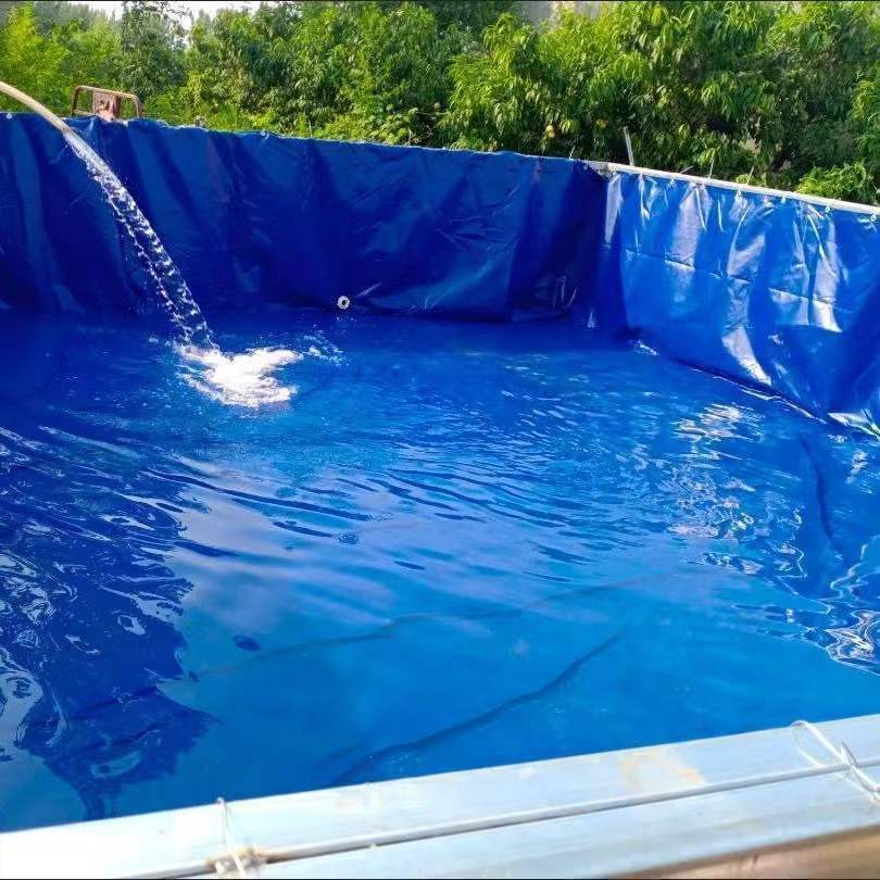 帆布鱼池养殖水箱油布塑料布泳池大型防雨布防水布蓄水池加厚篷布