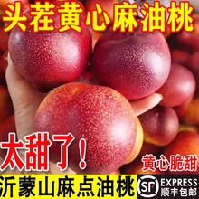 山东蒙阴麻点红油桃新鲜水果红油桃桃现摘脆甜蜜桃孕妇大果黄心