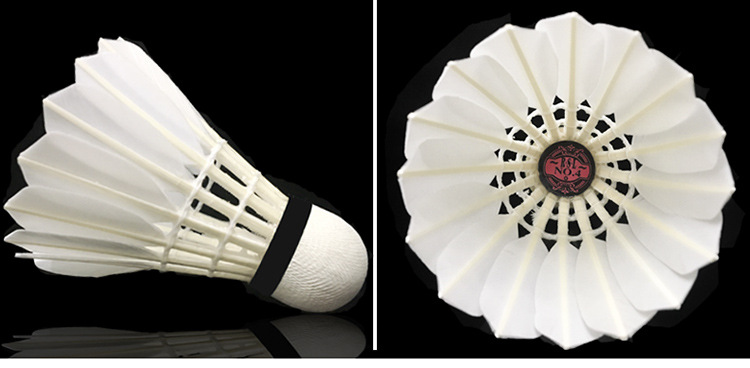 亚狮龙rsl羽毛球7号5号4号12支装耐打不易烂专业比赛训练球