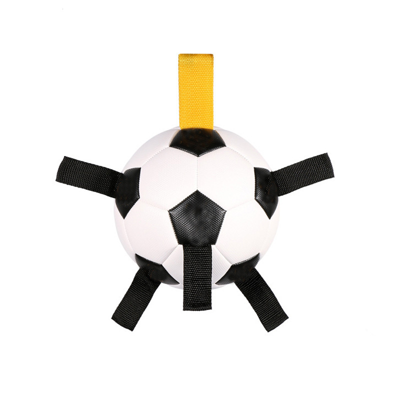 Cross-Border Supply New Pu Dog Play Football Outdoor Portable Pet Interactive Toy Pet Supplies