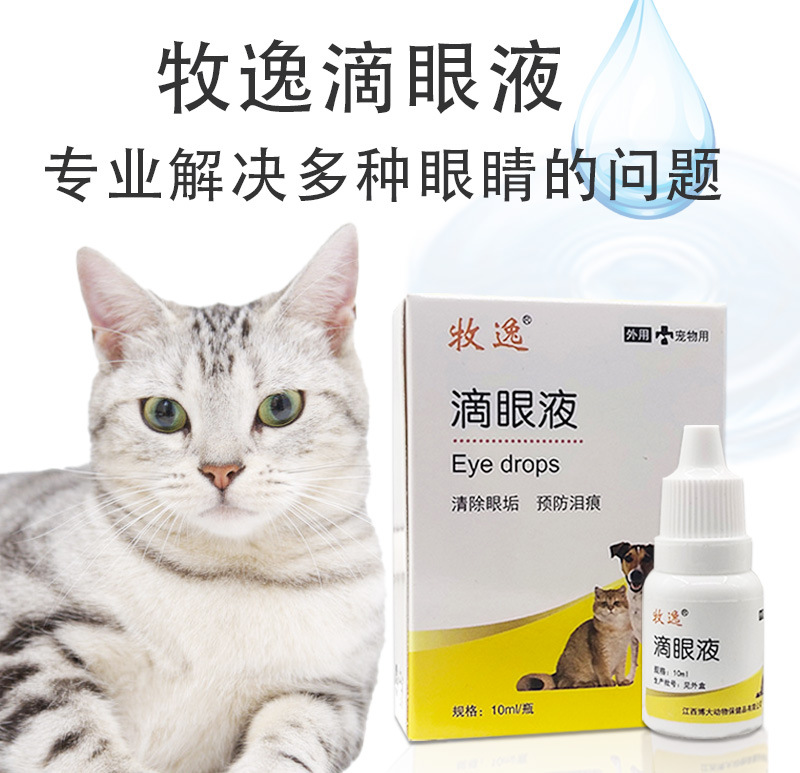 宠物滴眼液猫咪流眼泪猫鼻支狗狗改善泪痕眼屎医院犬猫通用代发