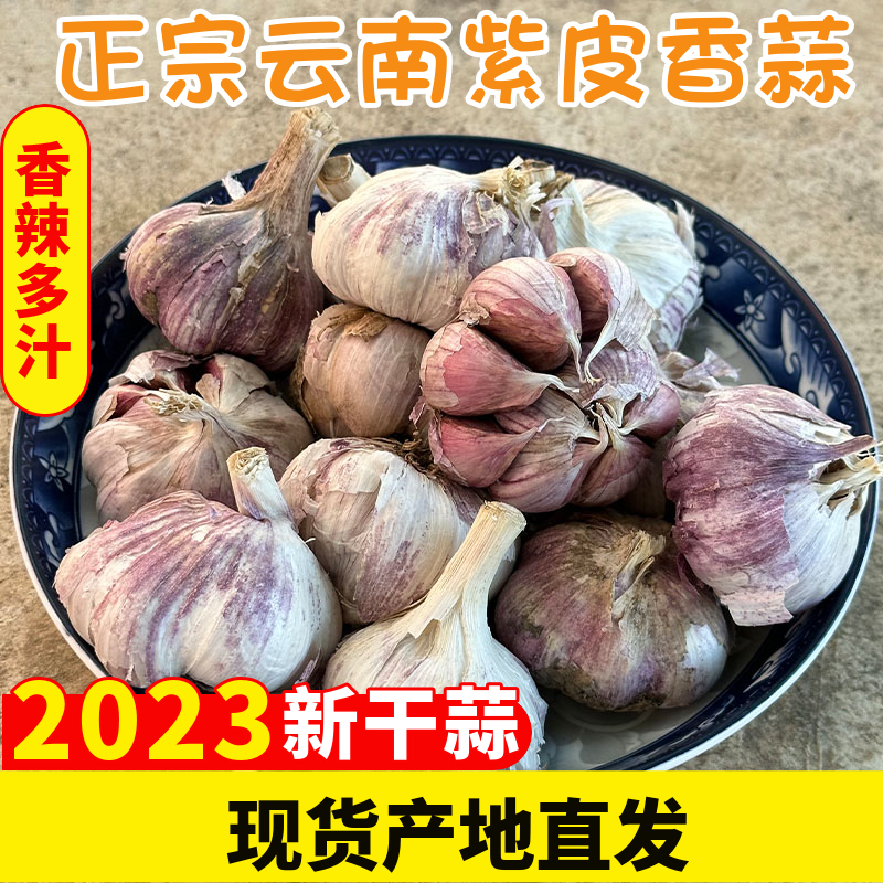 2023年正宗云南紫皮大蒜产地直发紫皮多瓣蒜香蒜新干蒜头种