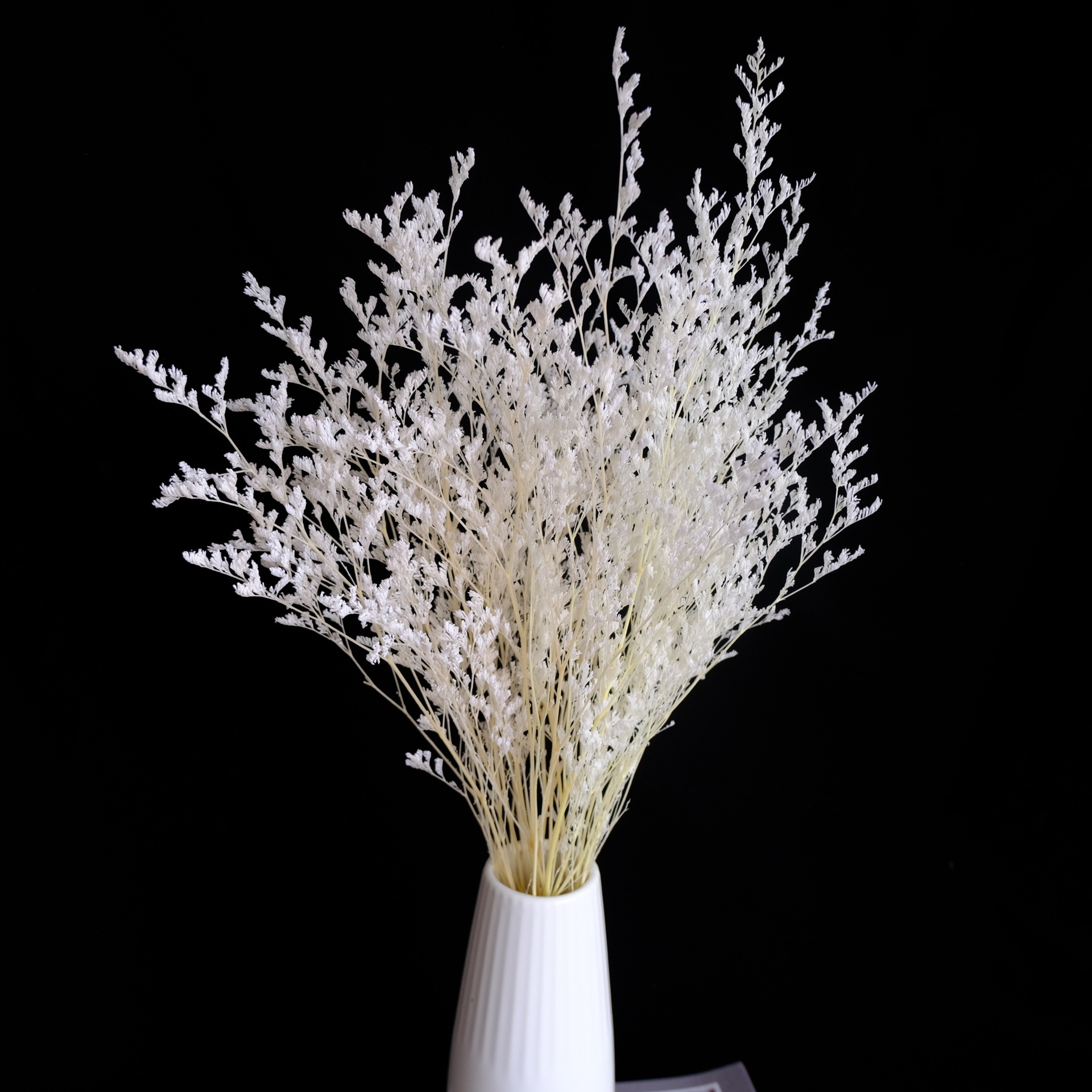 漂白情人草漂色虎年情人节真花花材配草永生花花艺软装外贸直供