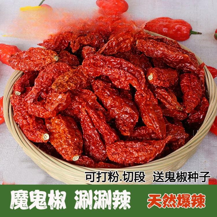 新货1斤印度魔鬼椒涮涮辣死神变态辣魔鬼辣椒龙息断魂椒特辣批发