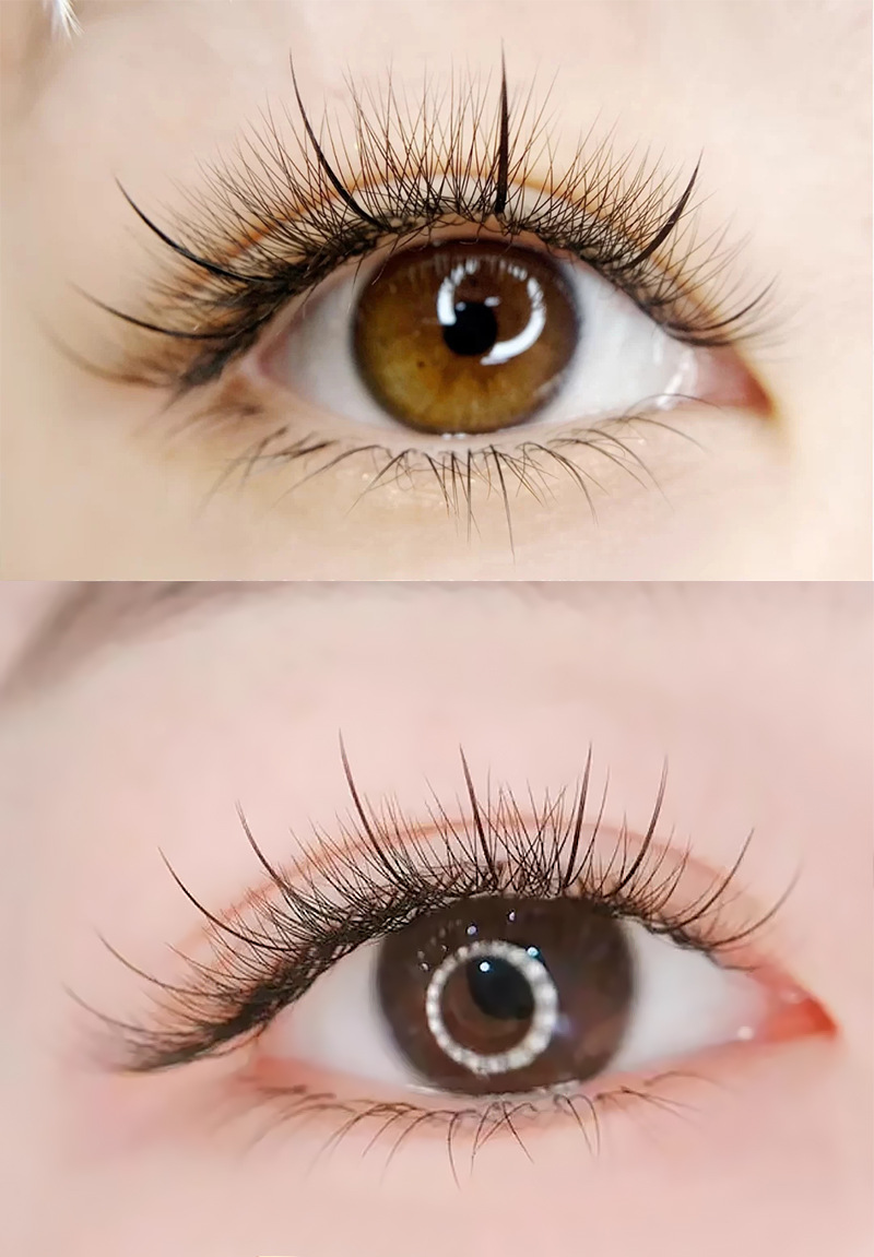 网红单根嫁接仙女毛单簇点缀仙子假睫毛朵毛种植装饰眼睫毛