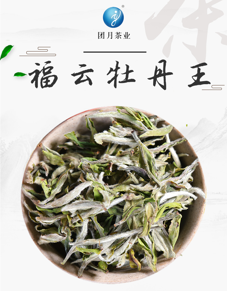 团月福云牡丹王明前白牡丹散装白茶福建茶叶春茶白茶厂家直供批发