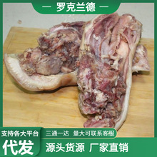 猪头肉批发冷冻新鲜去骨猪头猪脸半成品整箱毛重19斤卤菜食材现货