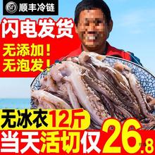 新鲜鱿鱼须鲜活冷冻生鲜尤鱼铁板鱿鱼串烧烤商用批发冷冻海鲜