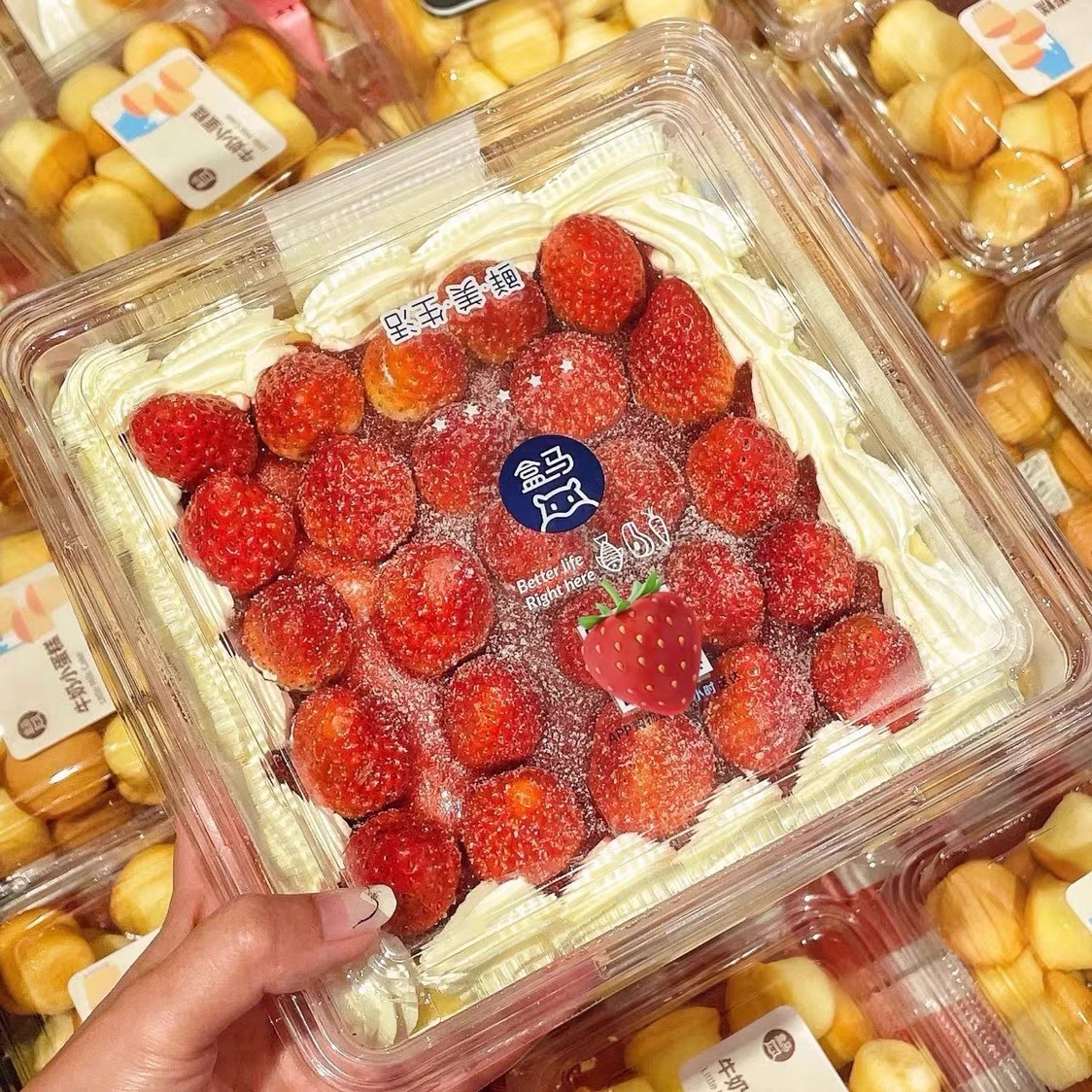 烘焙盒马鲜生同款新鲜草莓蛋糕包装盒25颗草莓蛋糕包装西点慕斯盒