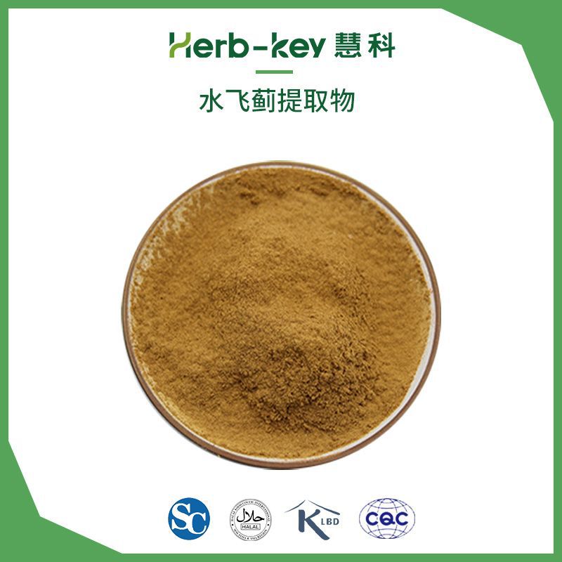 水飞蓟提取物 水飞蓟素 慧科 源头厂家 产地货源 水飞蓟提取物