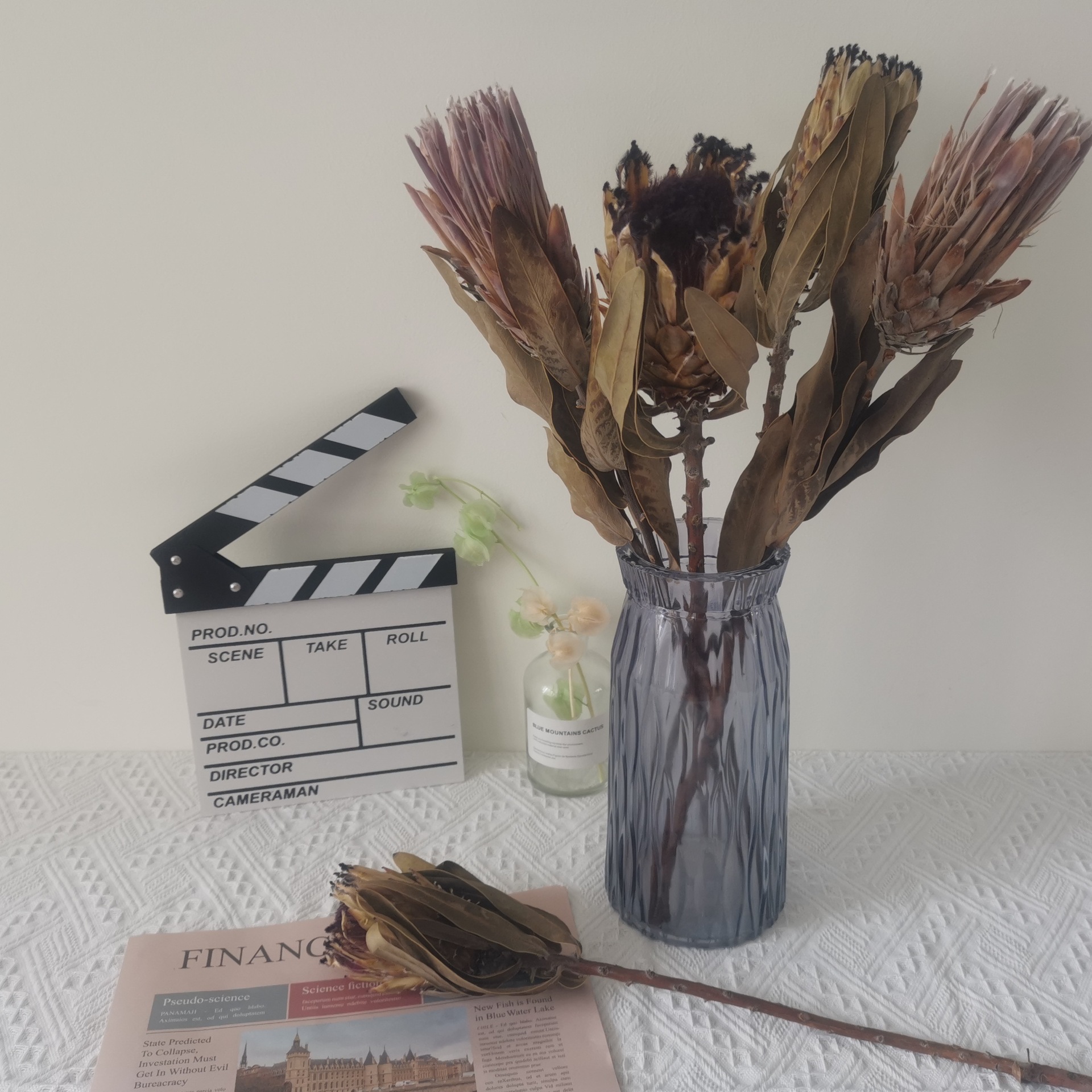 云南干花公主帝王干花森系自然真花家居装饰插花厂家批发霸王花