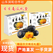 贝贝南瓜一件代发礼盒产地直发批发板栗味小栗面婴儿孕妇粉糯甜糯