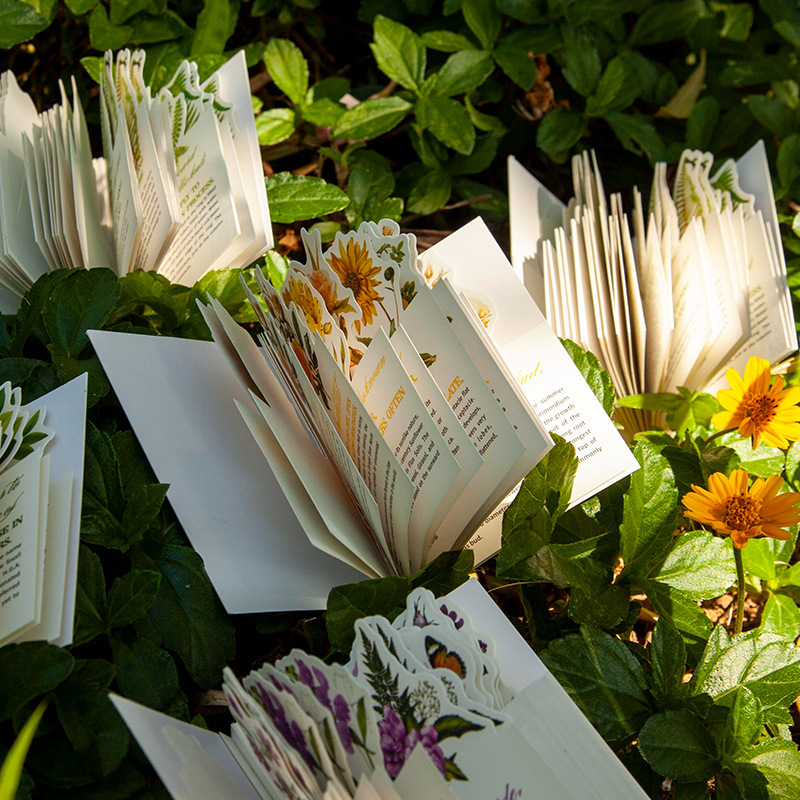 亚马逊热带雨林手册系列素材包异形小书 清新手帐素材本30张入8款