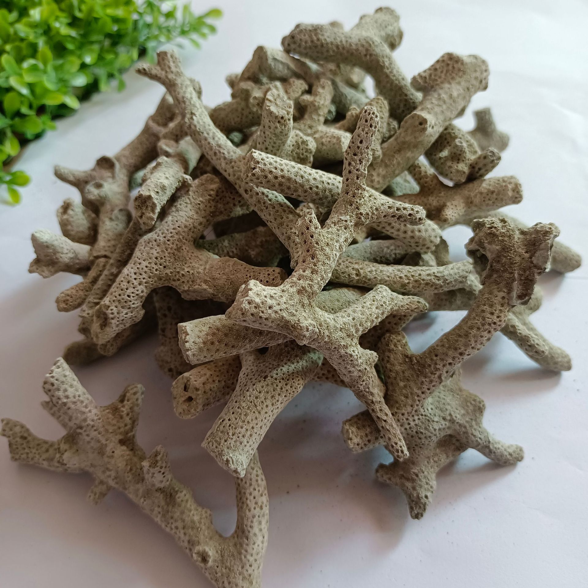 供应水族装饰鱼缸滤材用珊瑚骨 海洋馆过滤用珊瑚沙