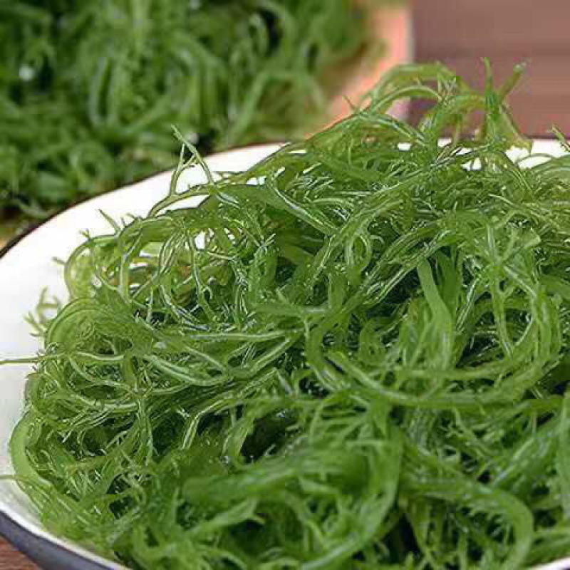 龙须菜凉菜火锅菜5斤/2斤/1斤山东特产凉拌菜头发菜海发菜海草藻
