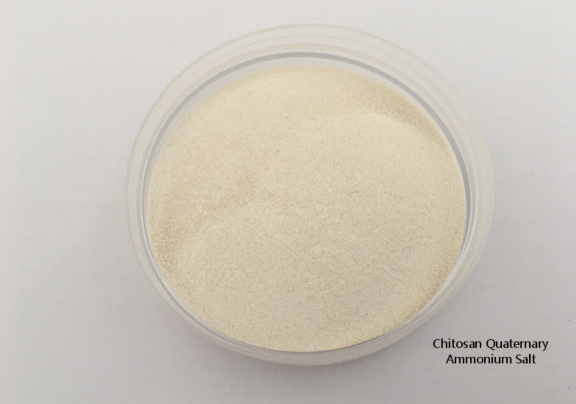 壳聚糖季铵盐水溶性改性壳聚糖壳聚糖盐类100目分装保湿材料