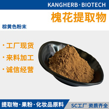 槐花提取物 10:1 水溶槐花粉 浸膏粉 洋槐花萃取 槐蕊现货供应