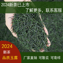 玉露绿茶2024年新茶四川毛尖毛峰长条云雾浓香型散装绿茶叶直条