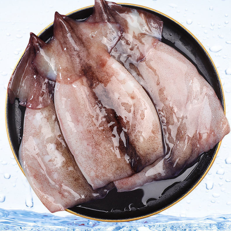 冷冻大鱿鱼鲜活整只海鲜水产生鲜鱿鱼冷冻枪乌贼 原产地直供