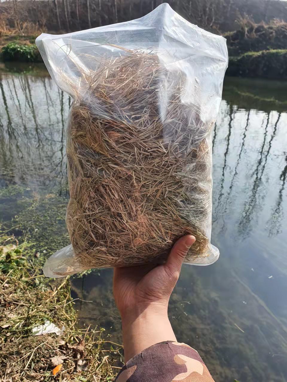 爬宠爬虫干草垫材200g约4升无农药天然宠物躲避兔子可食用