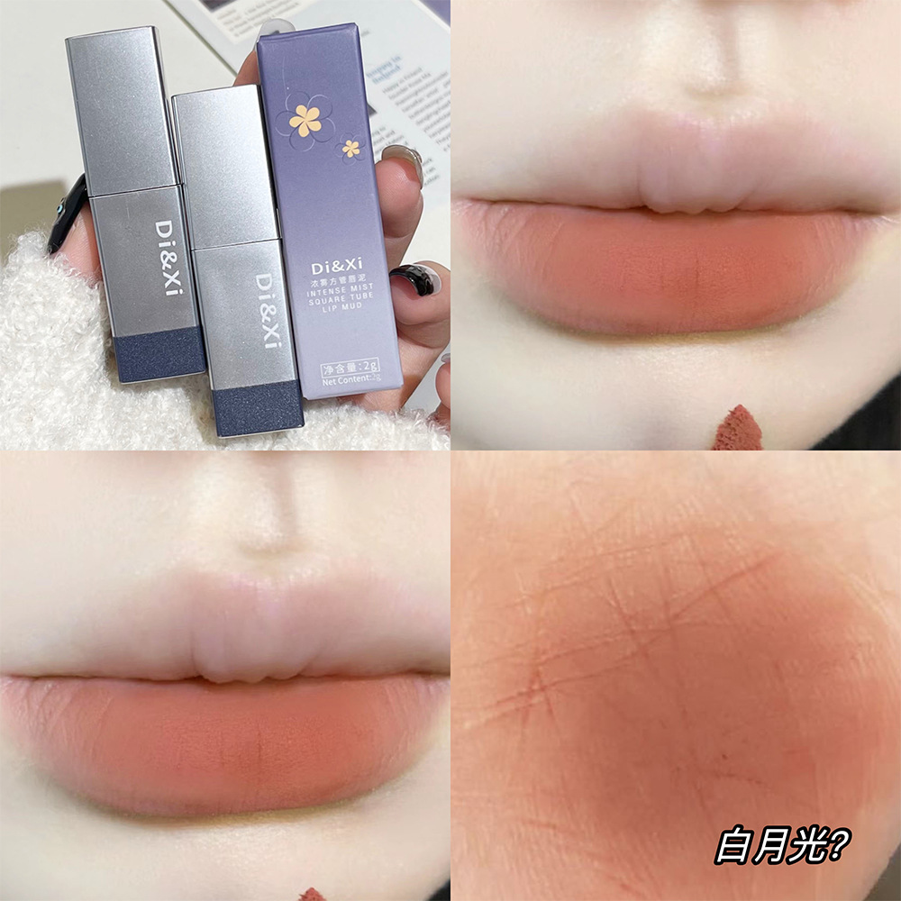 Di & Xi Thick Mist Velvet Lip Mud Matte White Square Tube Lipstick Color Lifting All-Match Cheap Makeup Cross-Border Wholesale