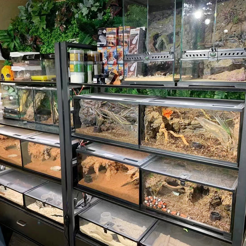 In Stock Wholesale Sliding Door Crawlers Jar Ecological Landscape Tropical Rainforest Ceratophrys Lizard Water and Land Feeding Crawlers Jar