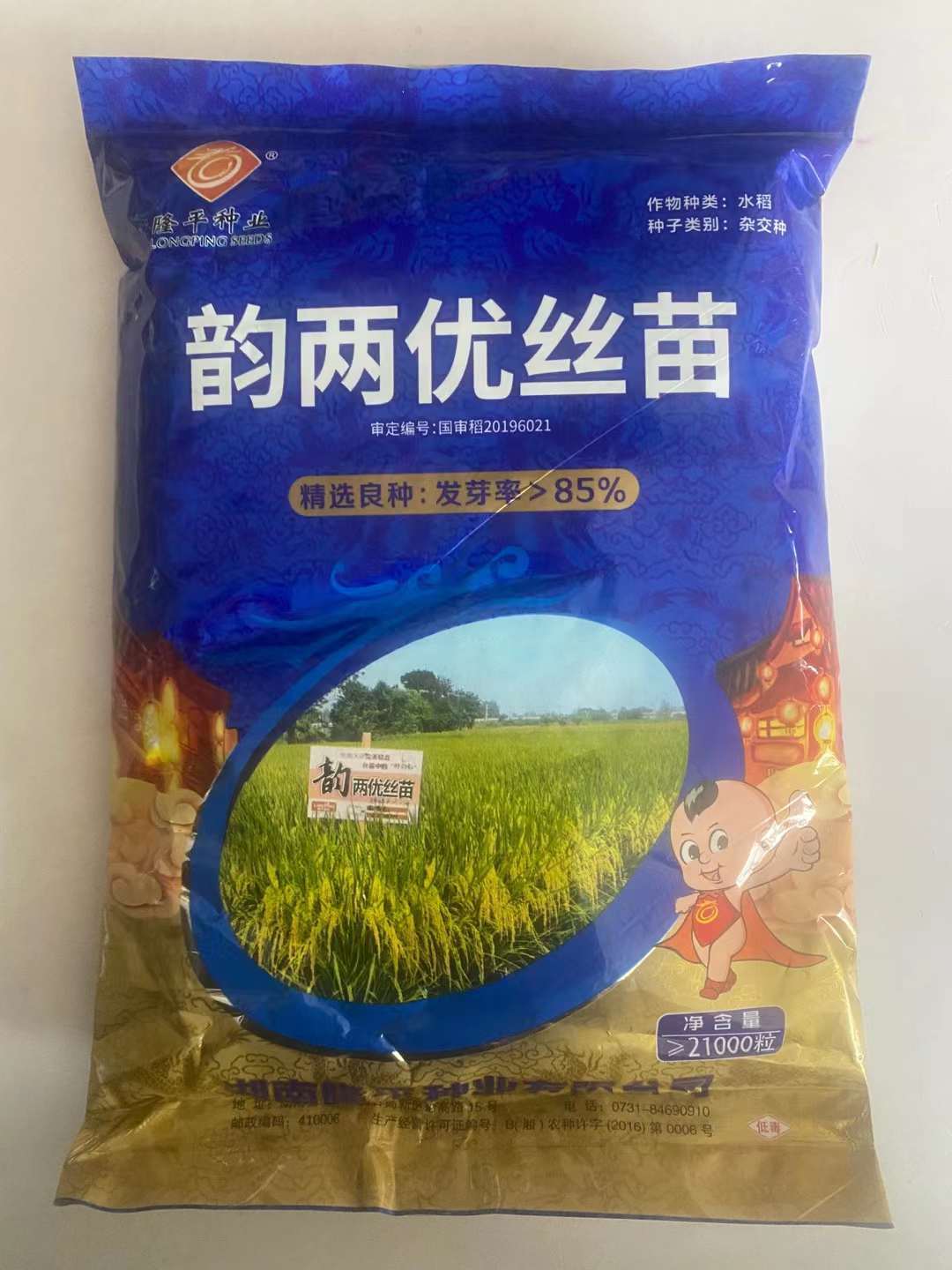 荃两优丝苗抗稻瘟病优质米超级杂交水稻谷种子高产籼粳杂交中晚稻