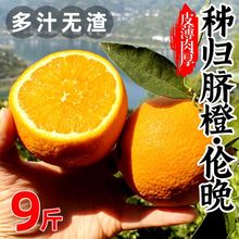 【顺丰彩箱】恋春秋 正宗伦晚脐橙橙子秭归脐橙当季新鲜水果5/9斤