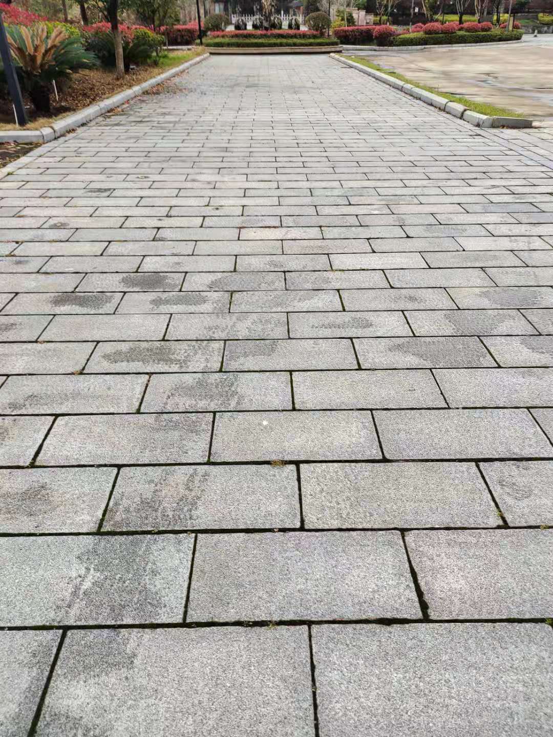 湖北白麻地铺石白麻批发交通便利发货及时