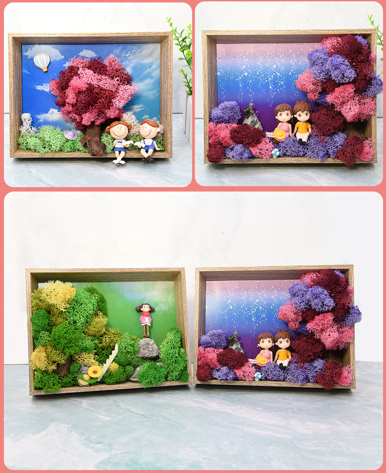 植物海草立体相框画手工diy材料包儿童创意礼品微景观亲子活动