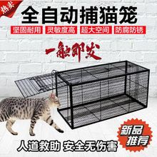 捉野猫流浪猫家用野外捕捉器工具捕猫笼全自动捉猫神器大号跨境专