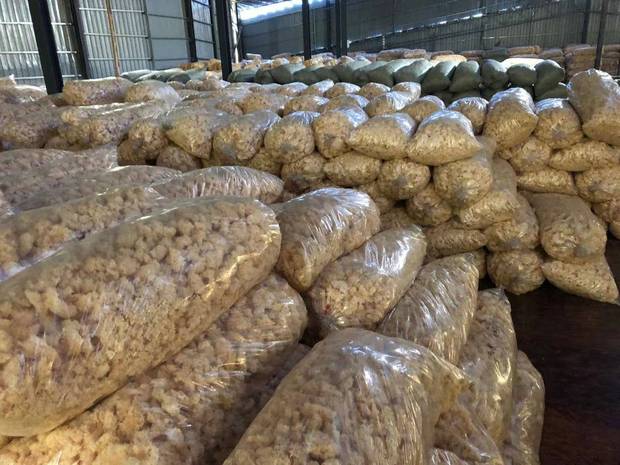 产地直发古田银耳支持oem贴牌加工食用菌白木耳大雪耳可定制批发