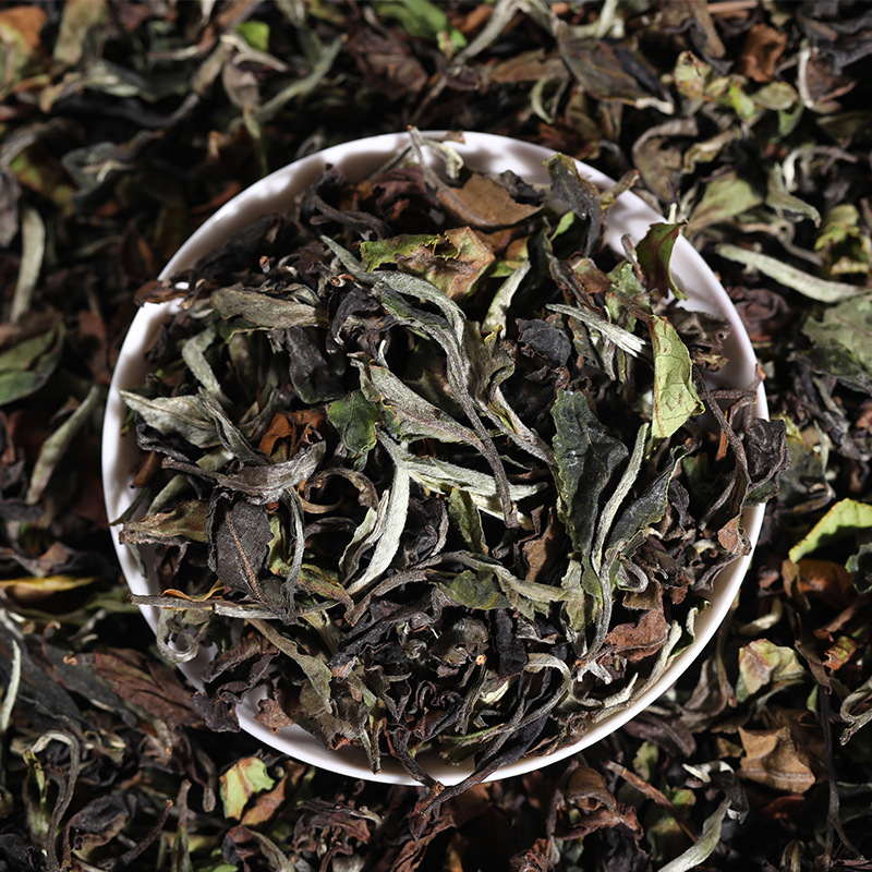 自产自销云南大叶种古树白茶早春景谷月光白高山大叶种白茶批发