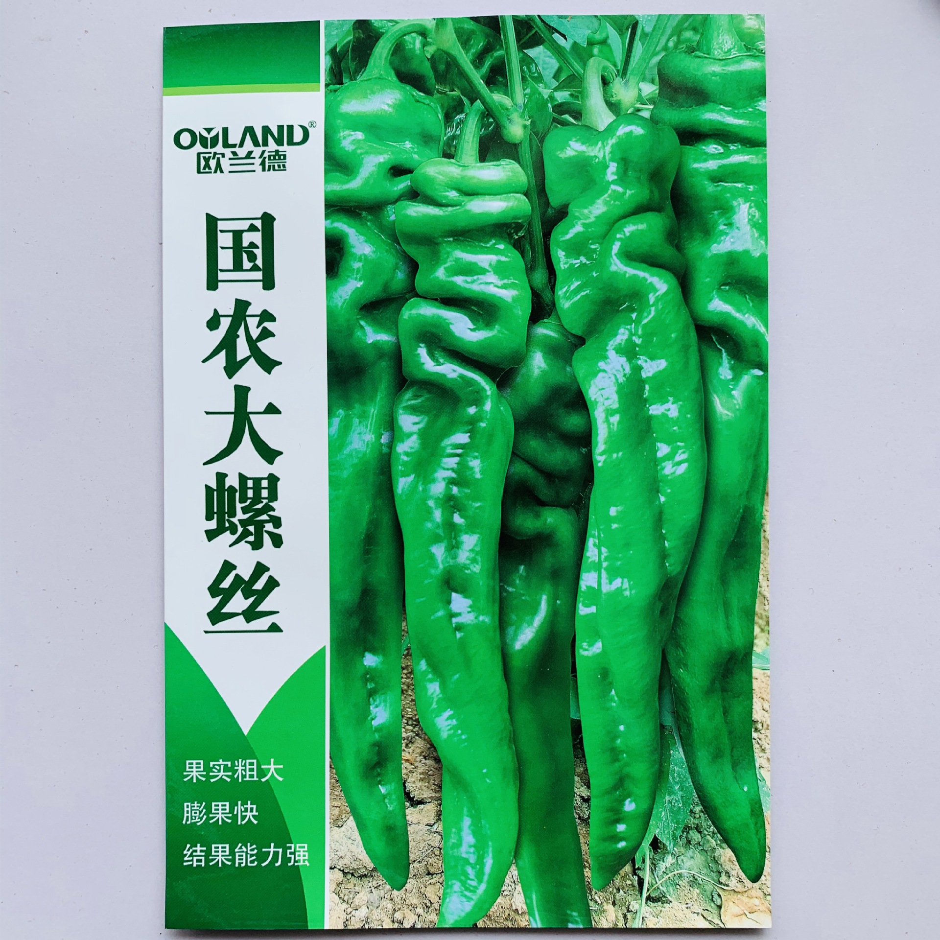 苏润515/润美700辣椒种子早熟高产大果薄皮春秋大棚四季播新品种