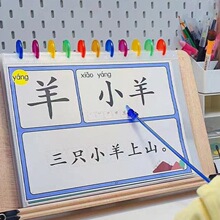 认知卡识字我的本汉字书大字拼音版认字闪卡片幼儿宝宝早教独立站