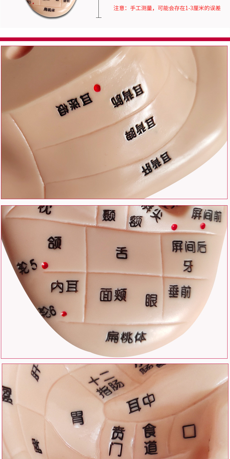 耳穴贴王不留行籽按压耳穴压豆穴位贴按摩耳豆贴模型王不留行籽贴